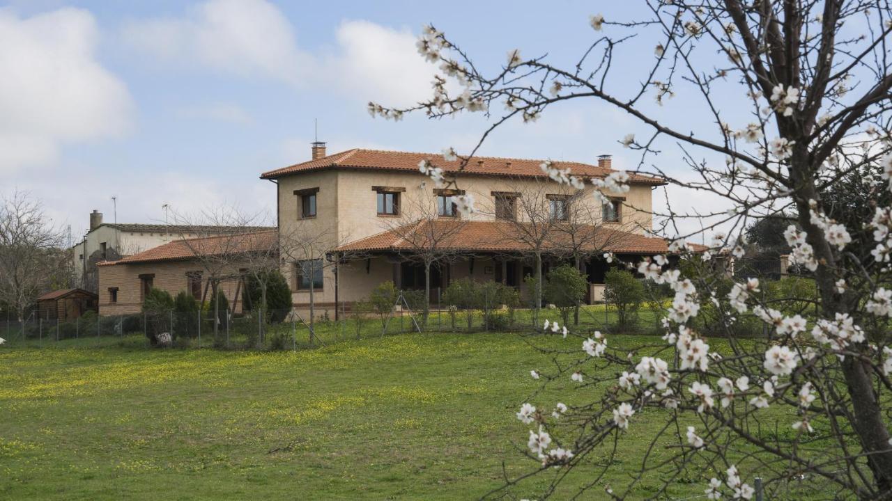 Casa Rural Pilon Del Fraile Oropesa Exterior foto